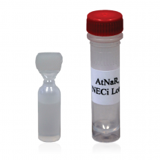 Nitrate Reductase: AtNaR